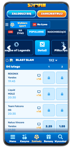 SpinFiN dota game